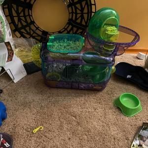 Meet your Posher, Cody